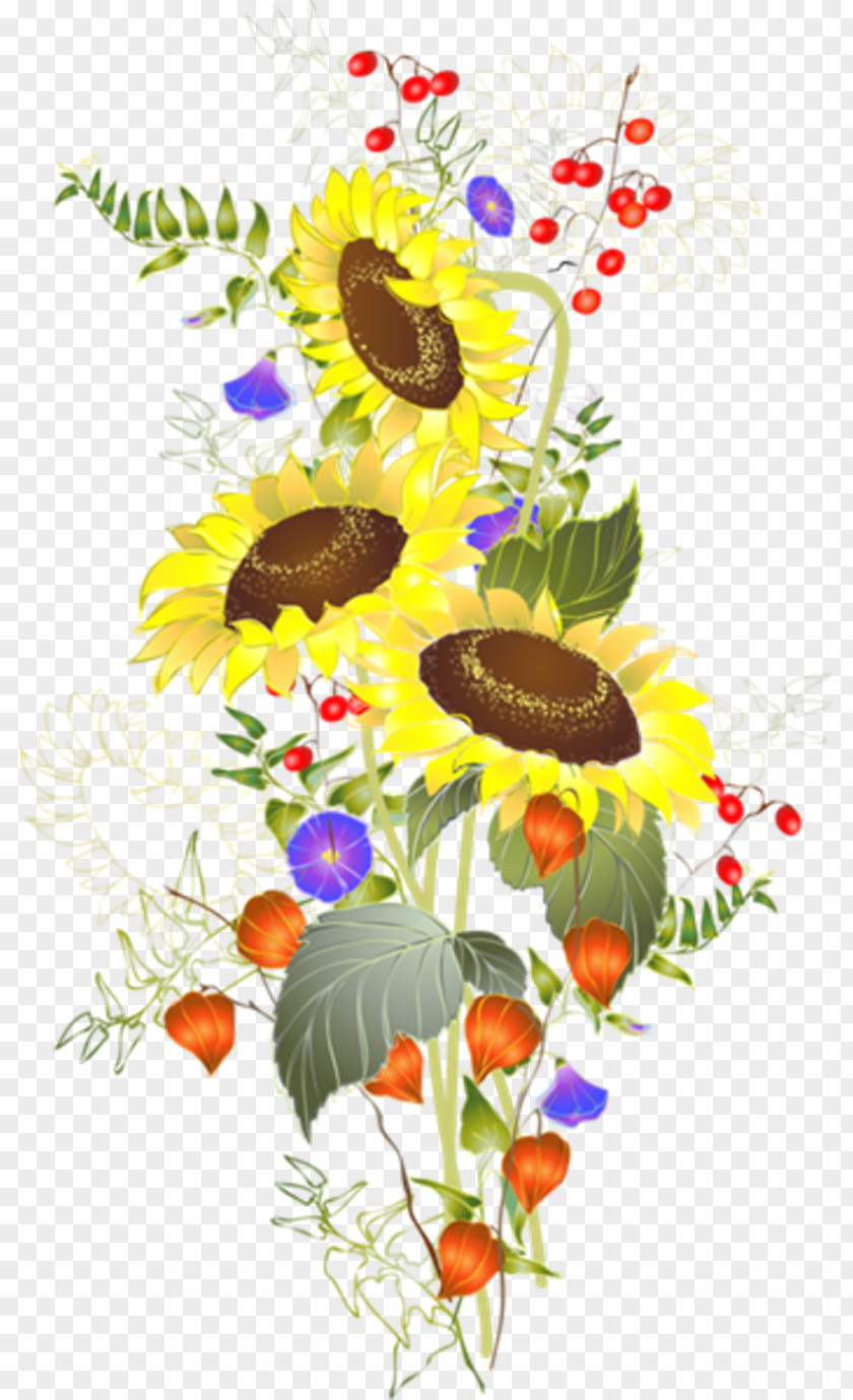 Flower Floral Design Common Sunflower Cut Flowers Image PNG