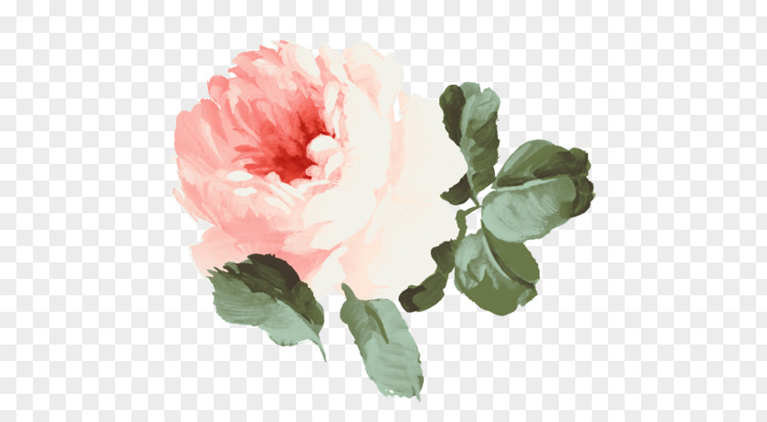 Illustration Flower Still Life: Pink Roses Flowers Garden PNG