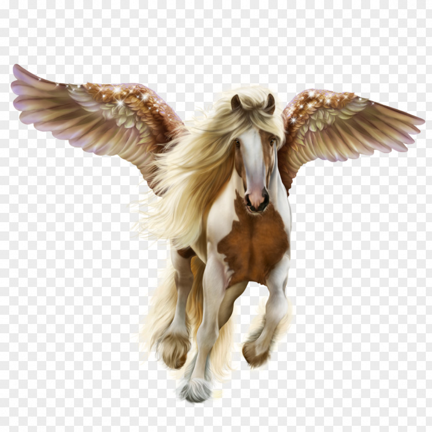 Mustang Pony Illustration Image Drawing PNG