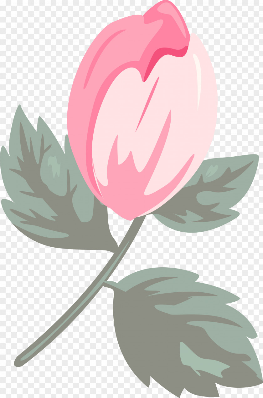 Pink Leaf Flower Tulip Plant PNG