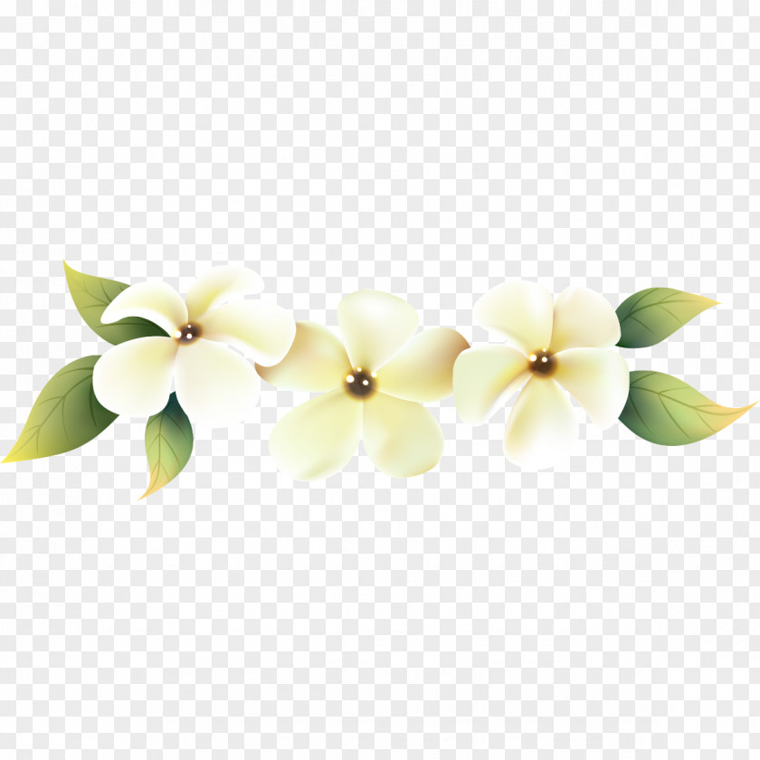 Stephanotis Florist Supplies Cut Flowers Vector Graphics Design Moth Orchids PNG