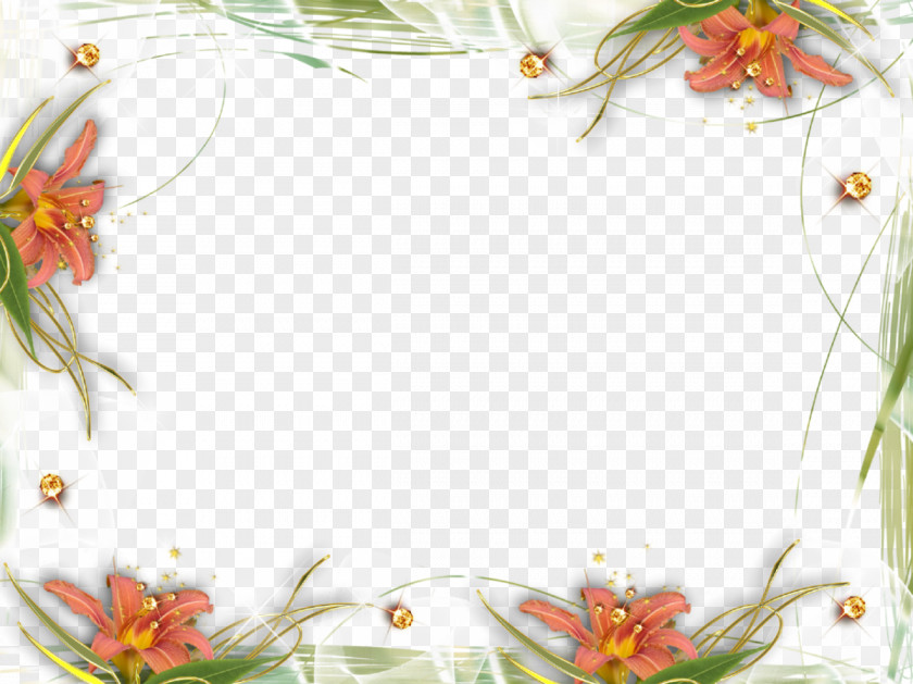 Abstract Floral Frame Picture Frames Clip Art PNG