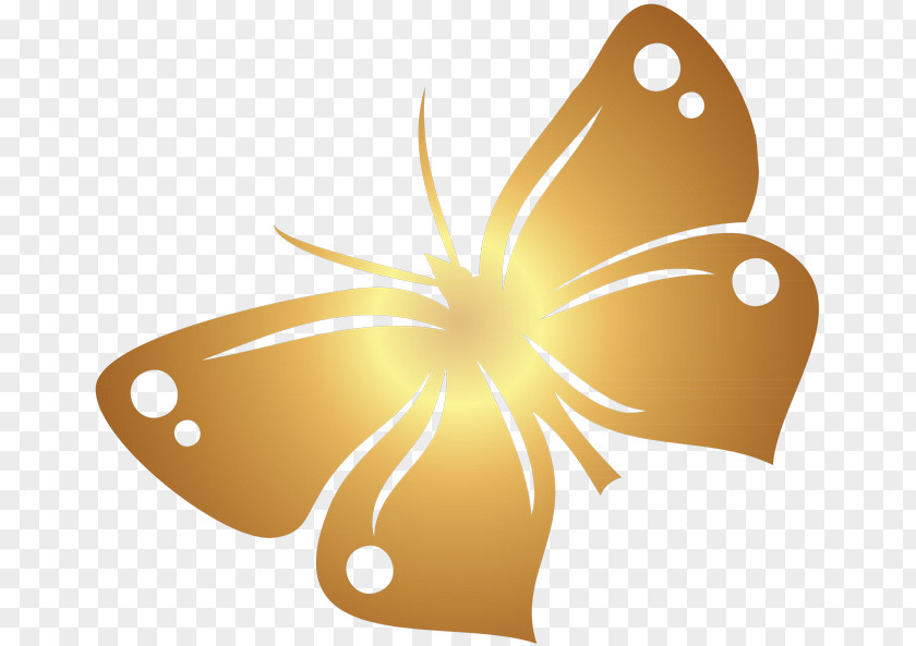 Butterfly Stencil Ornament Sticker Painting PNG