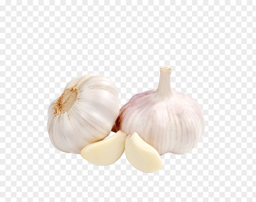 Garlic Organic Food Therapy Vegetable PNG