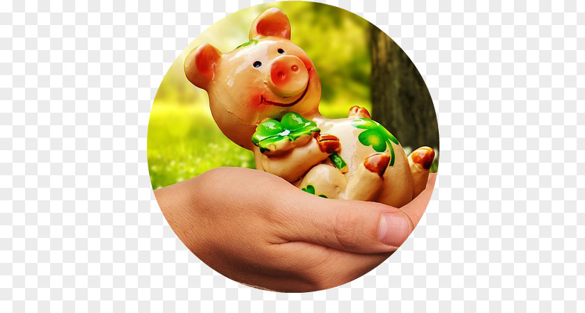 Good Luck Piglet Figurine Information PNG