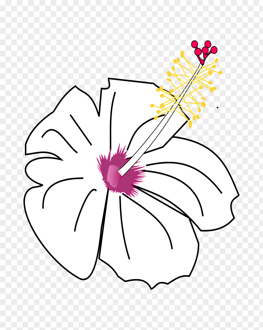 Hibiscus Cut Flowers Mallows PNG
