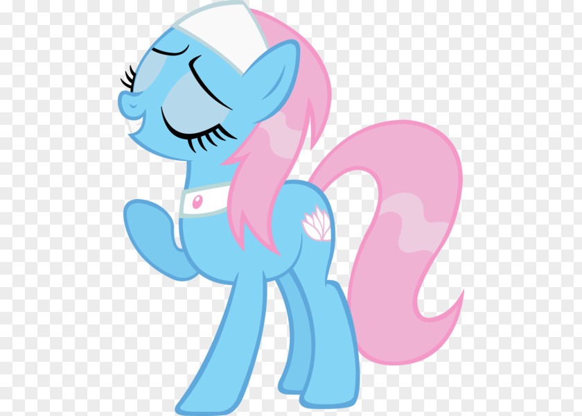 My Little Pony: Friendship Is Magic Fandom Aloe Vera PNG