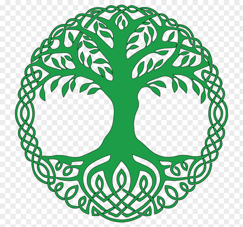 Symbol Tree Of Life Yggdrasil Image PNG