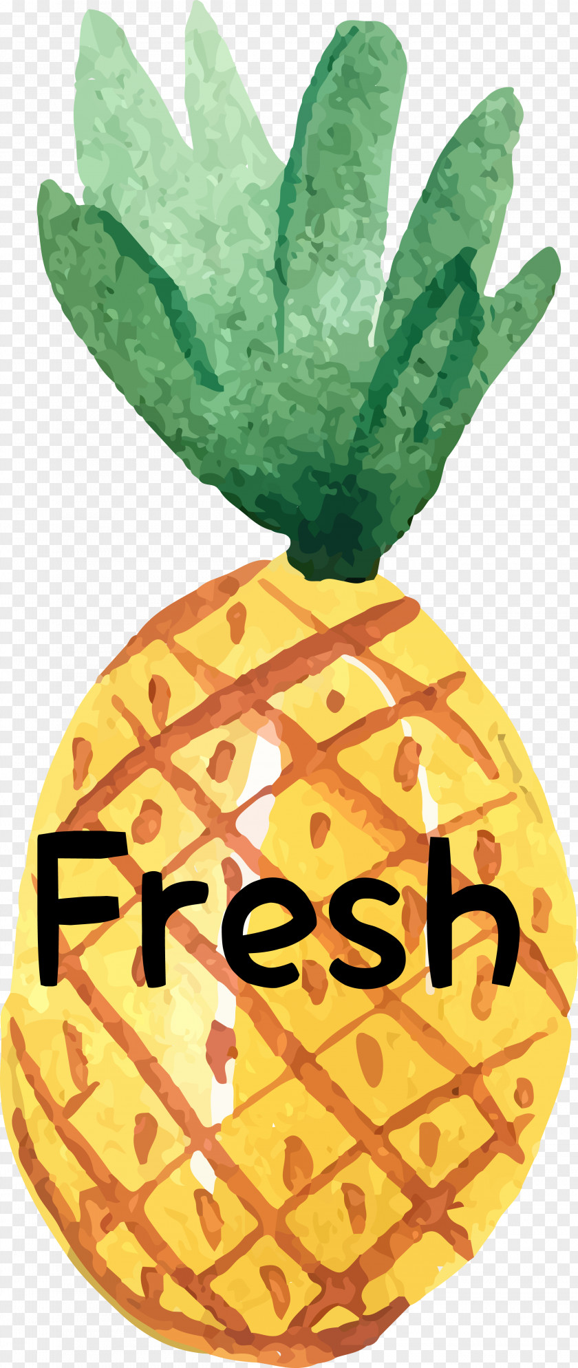 Watercolor Pineapple Painting PNG