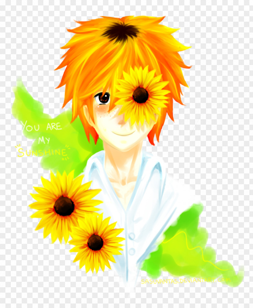 You Are My Sunshine Common Sunflower Transvaal Daisy Seed Family PNG