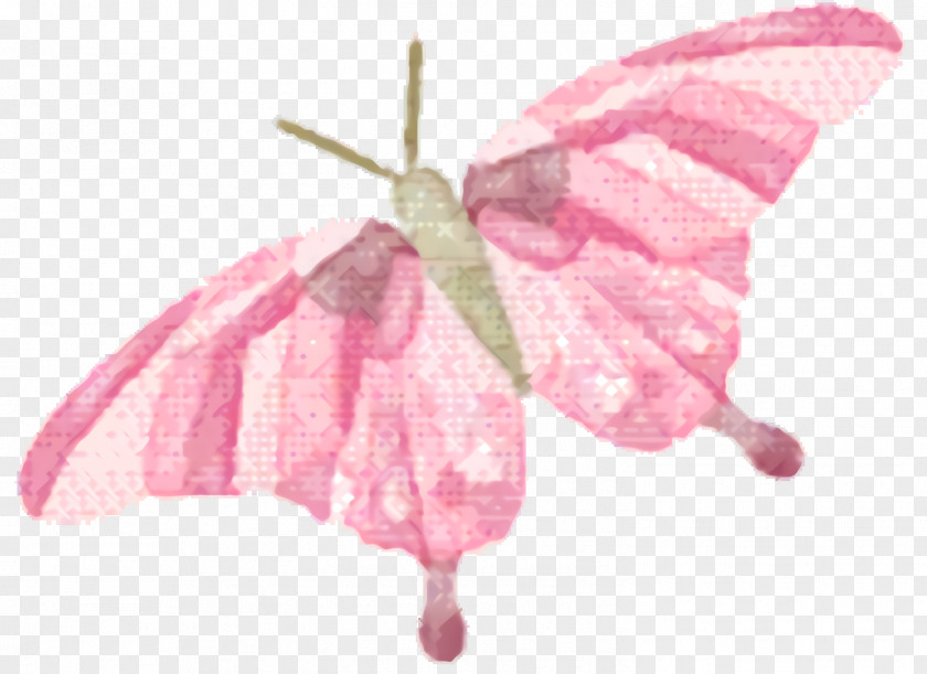 Flower Anthurium Pink Cartoon PNG
