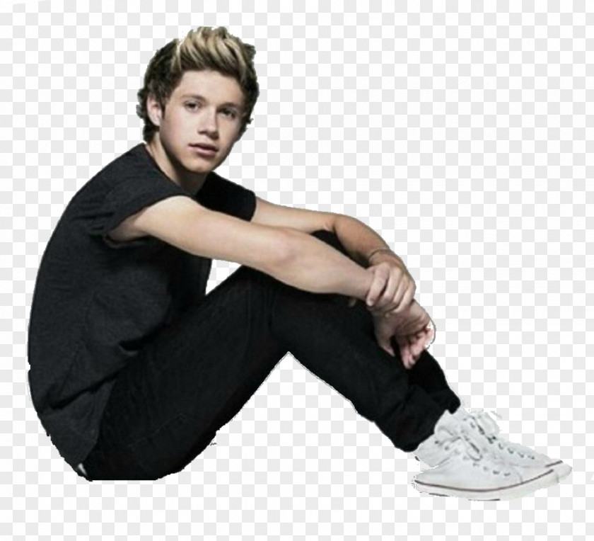 Niall Horan One Direction Doncaster Rock Me PNG