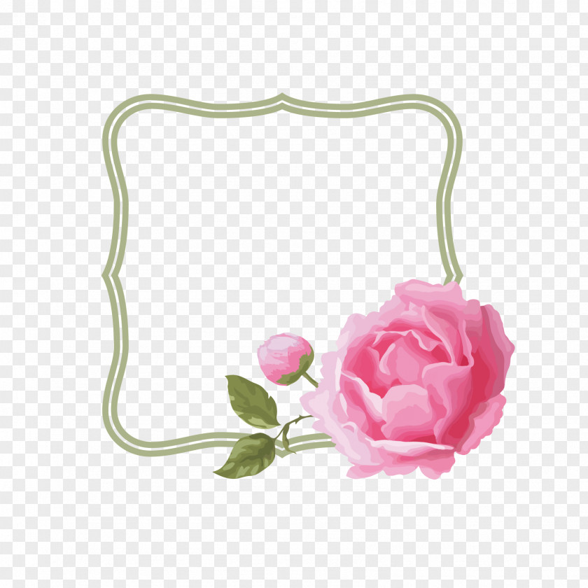 Pink Rose Borders Flower Download PNG