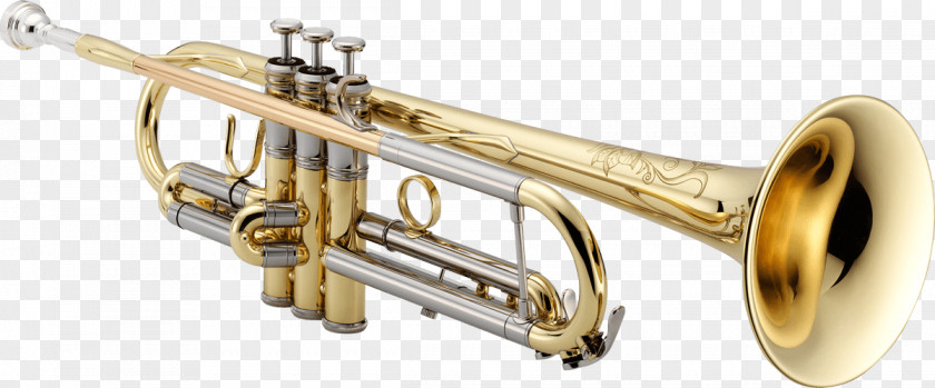 Trumpet Musical Instruments Brass Musician PNG