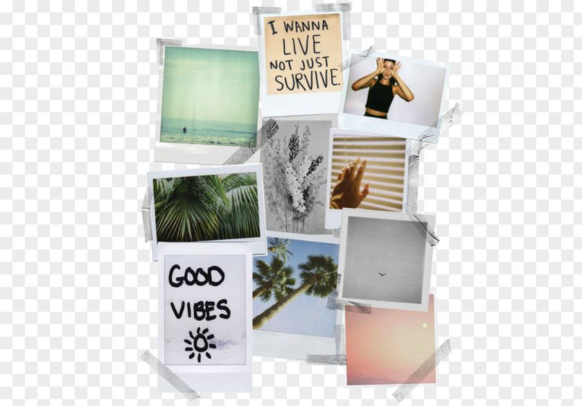 Camera Instant Mood Board Collage Instax PNG