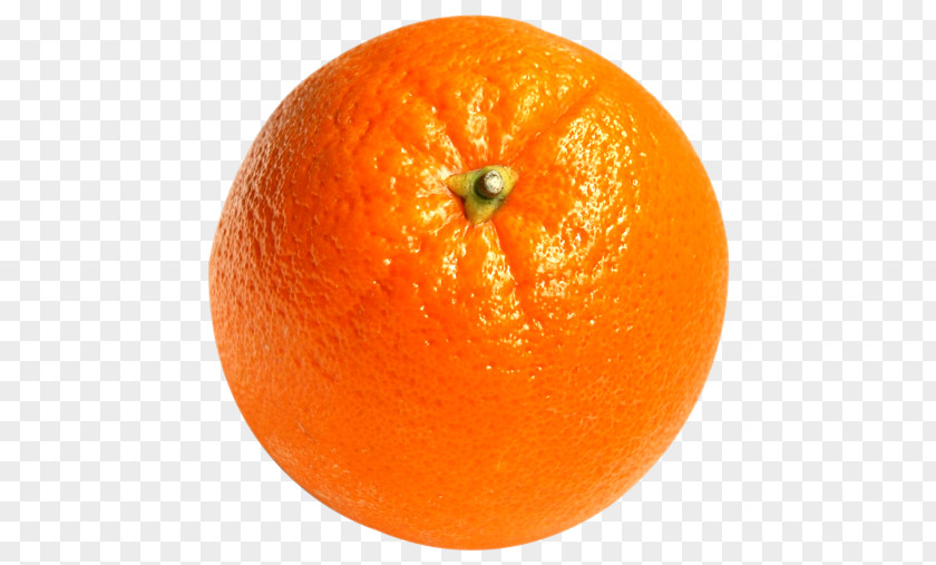 Citrus Orange Juice Tangerine Tangelo Grapefruit PNG