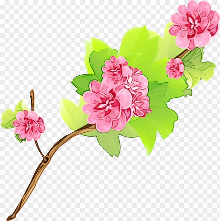 Floral Design Rose Family Blossom Cut Flowers PNG