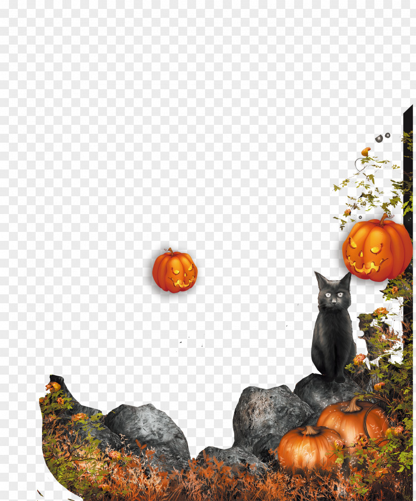 Halloween Pumpkin Decoration Jack-o-lantern PNG