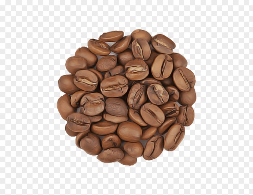 Ingredient Bean Jamaican Blue Mountain Coffee Food Plant Java Seed PNG