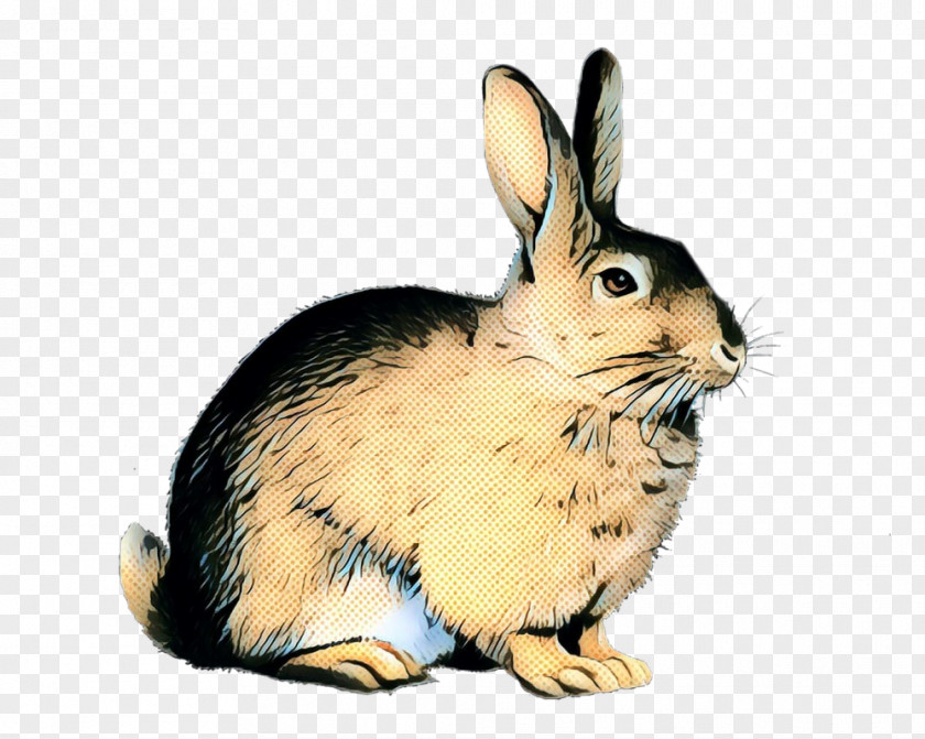 Domestic Rabbit Hare European Cottontail PNG