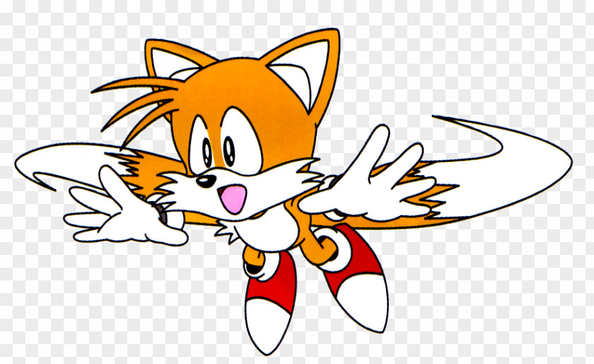 Fox Head Sonic The Hedgehog 2 Chaos Tails Ariciul PNG