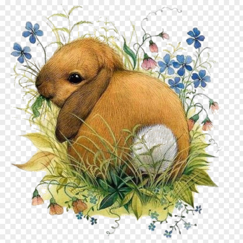 Rabbit Vera The Mouse Easter Bunny Illustrator PNG