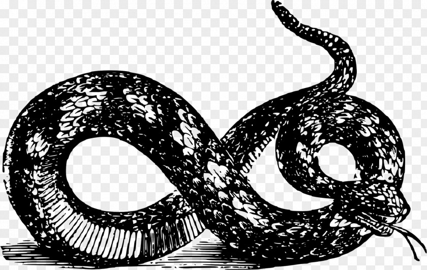 Belly Snake Libertarianism Gadsden Flag Clip Art PNG
