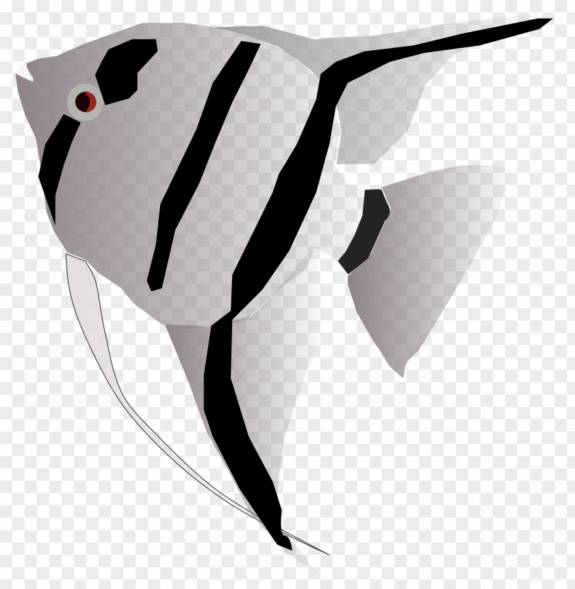 Fish Clip Art Queen Angelfish Freshwater PNG