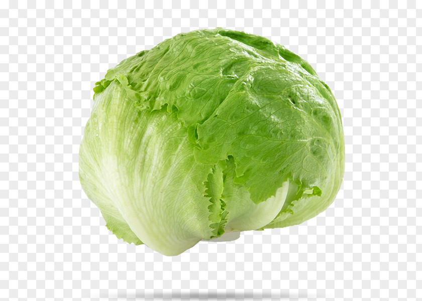 Lettuce Iceberg Stuffing Salad Vegetable Cabbage PNG