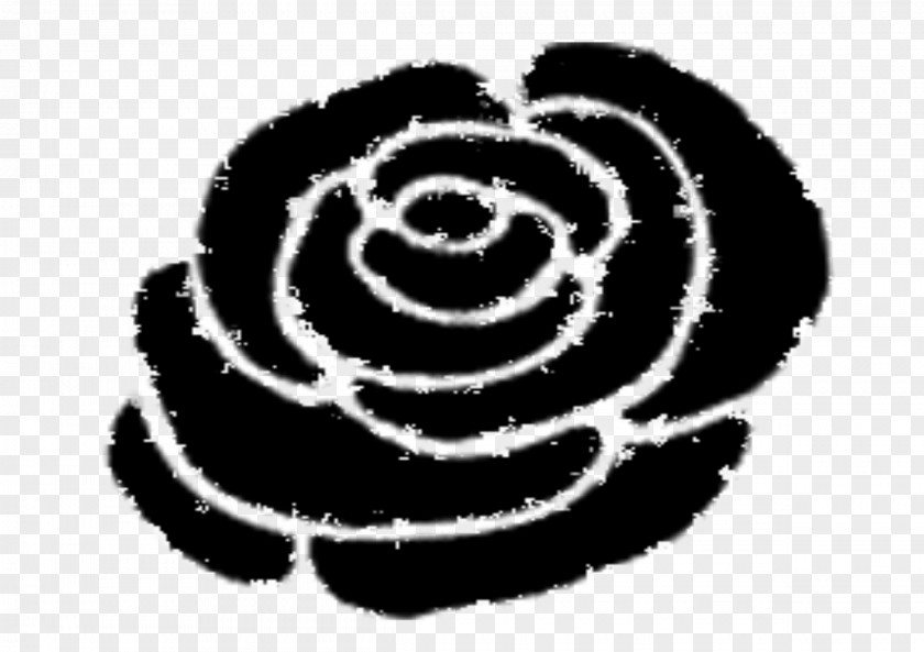 Rose Photography Clip Art PNG