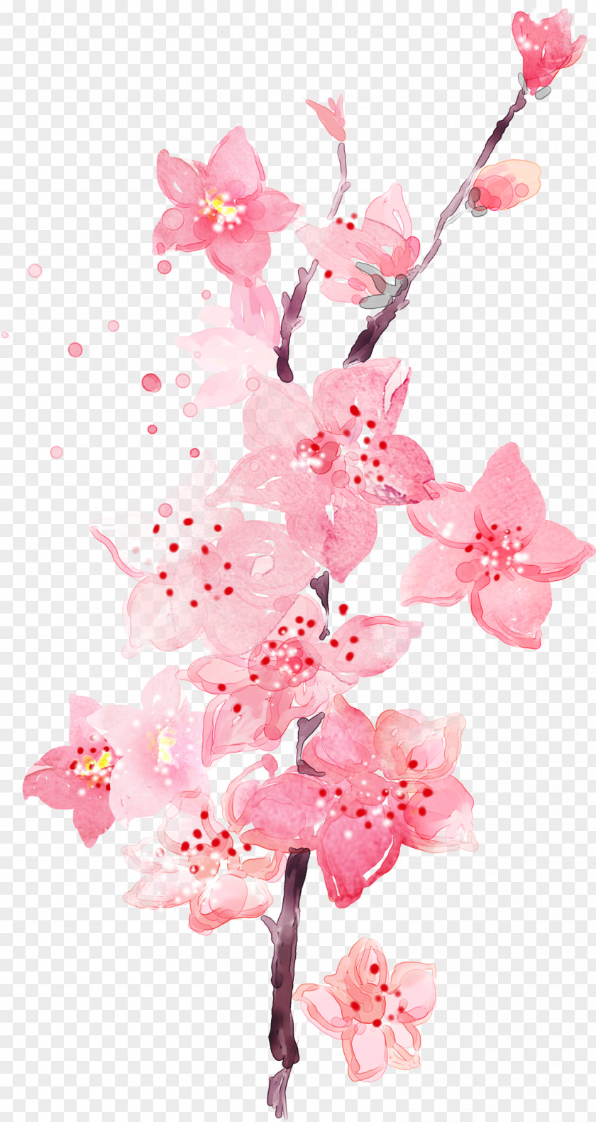 Watercolor Pink Peach Plum Flower Wallpaper PNG