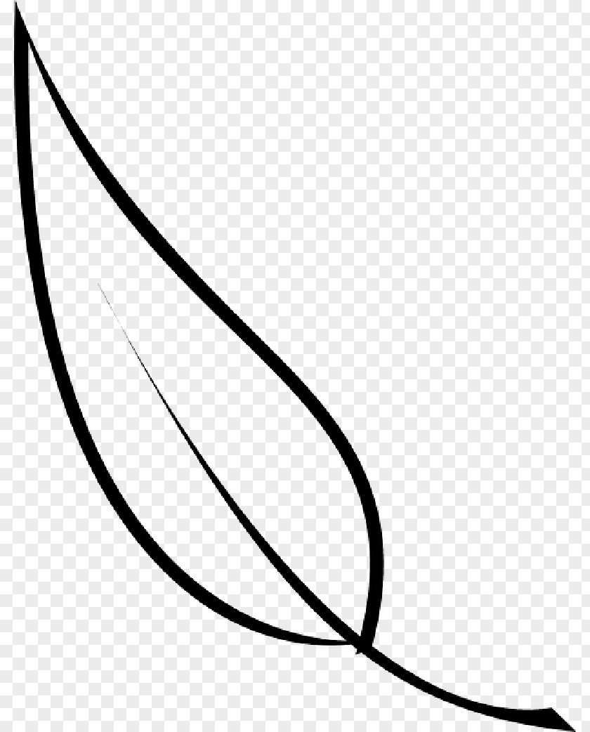 Clip Art Leaf Line PNG