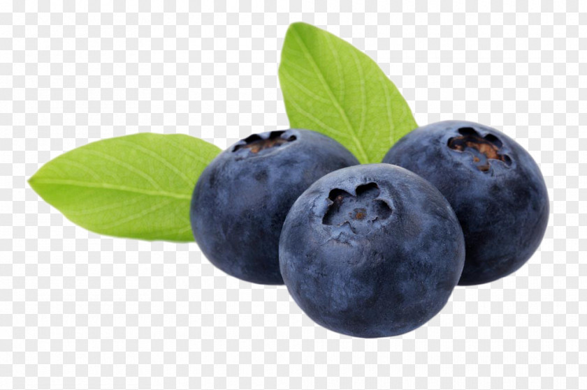 Delicious Blueberry Fruit Auglis Food Anthocyanin PNG