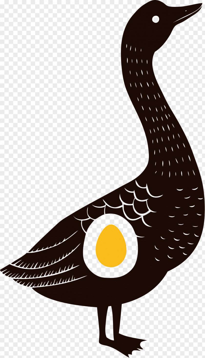 Duck Domestic Goose Drawing PNG