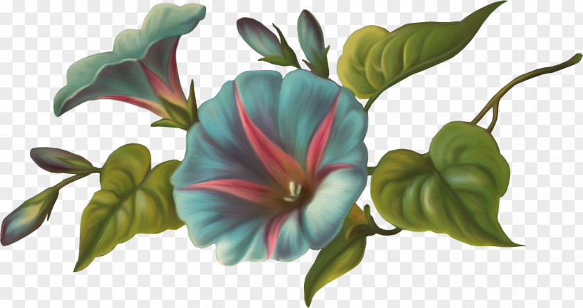 Flower Cut Flowers Painting Floral Design Drawing PNG