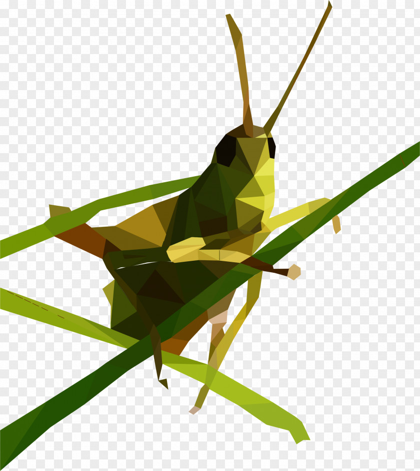 Grasshopper Low Poly Clip Art PNG