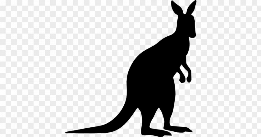 Kangaroo Macropodidae Silhouette Clip Art PNG