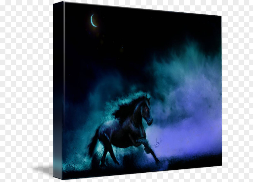 Mustang Stallion Mane Black-horse Moon Gallery Wrap PNG