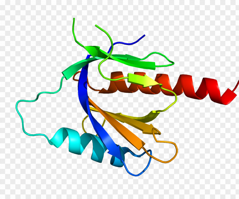 Protein Amyloid Beta Precursor Peptide PNG