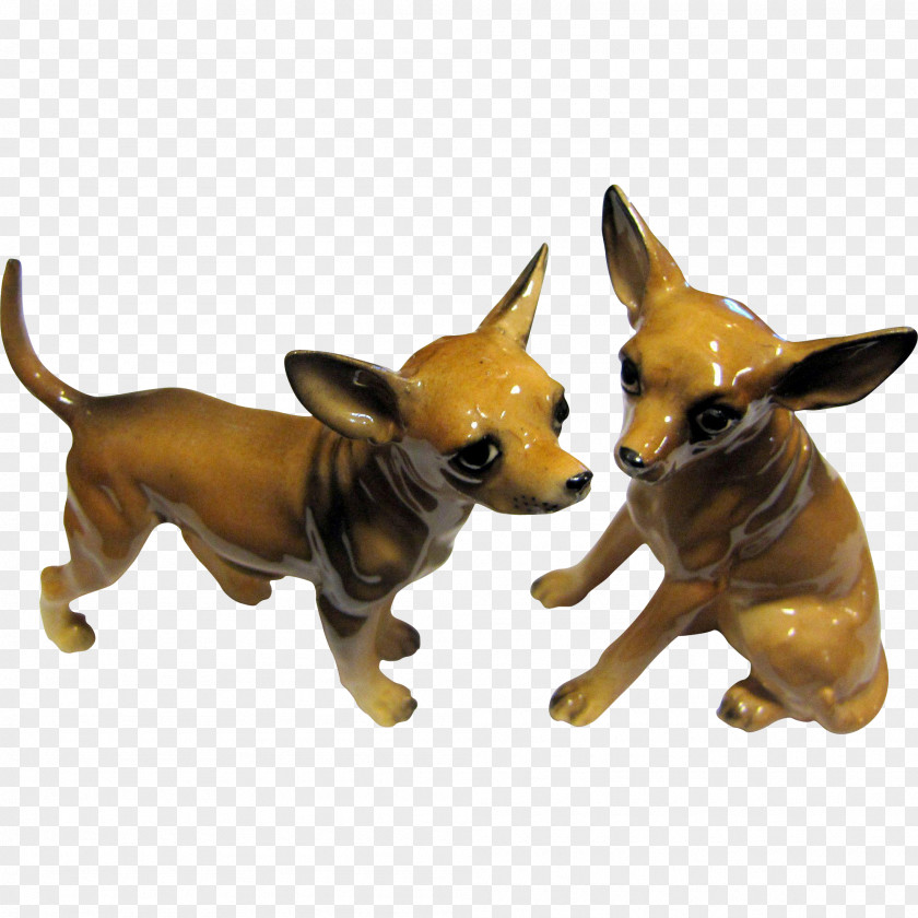 Chihuahua Dog Breed Toy Salt Snout PNG
