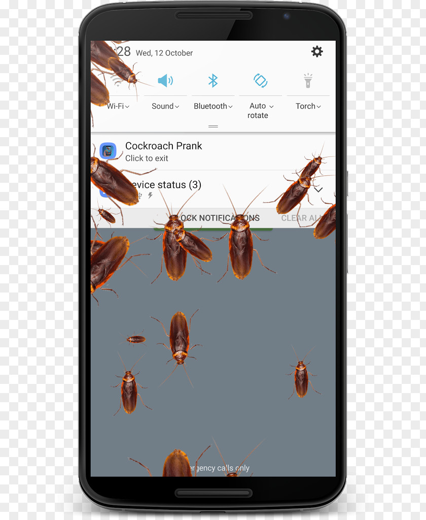 Cockroach Spider Run Android Application Package Mobile App Screenshot PNG