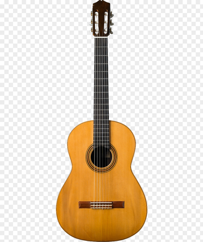 Guitar Classical Acoustic Flamenco Guitarist PNG