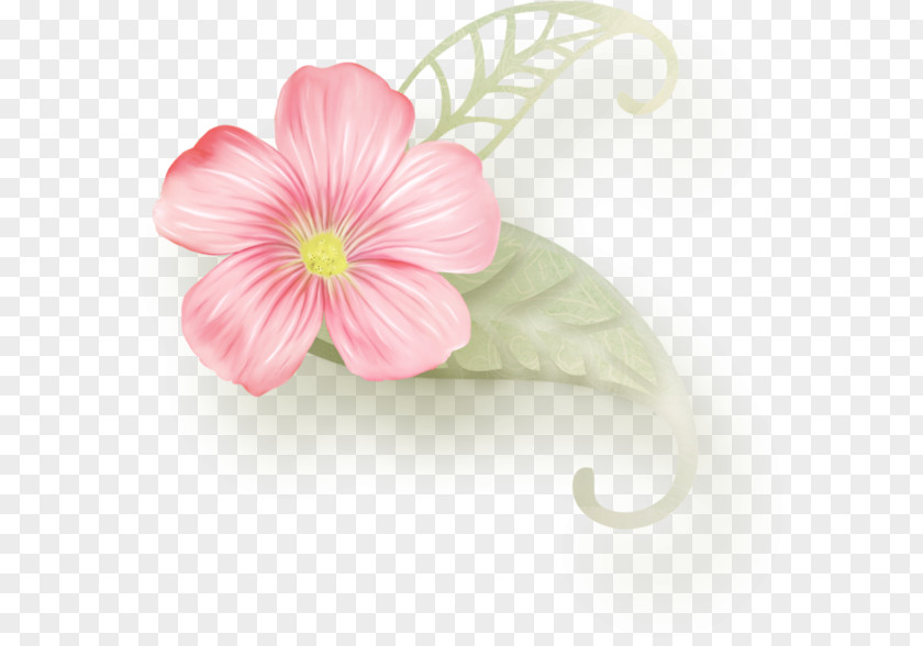Periwinkle Mallows Pink M Family PNG