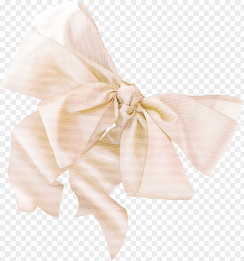 Satin Scene From A Midsummer Night's Dream Bow Tie Ribbon Shoelace Knot Necktie PNG