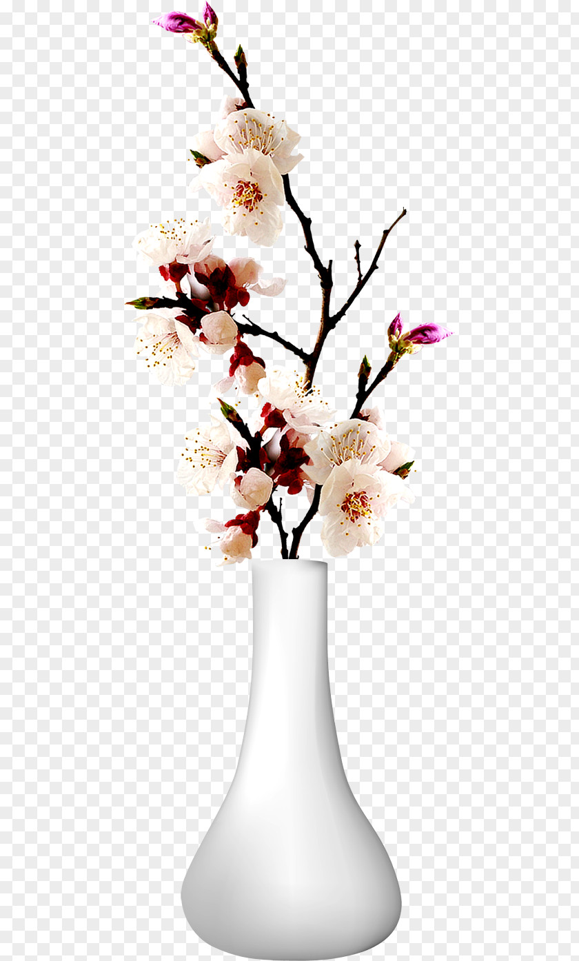 Vase And Flowers ForgetMeNot Download Computer File PNG