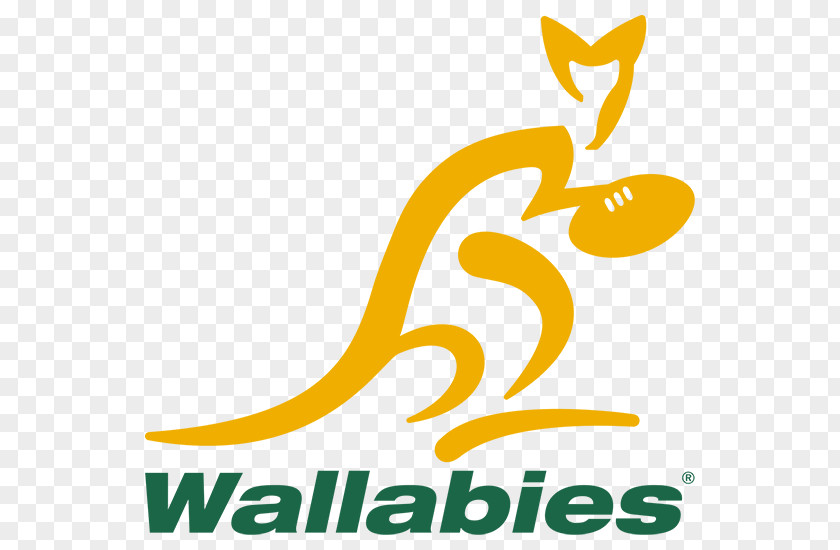 Australia National Rugby Union Team The Championship South Africa PNG