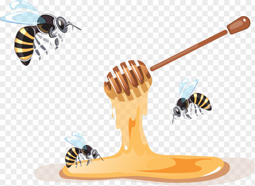 Caat Cartoon Bee Illustration Vector Graphics Clip Art Apiary PNG
