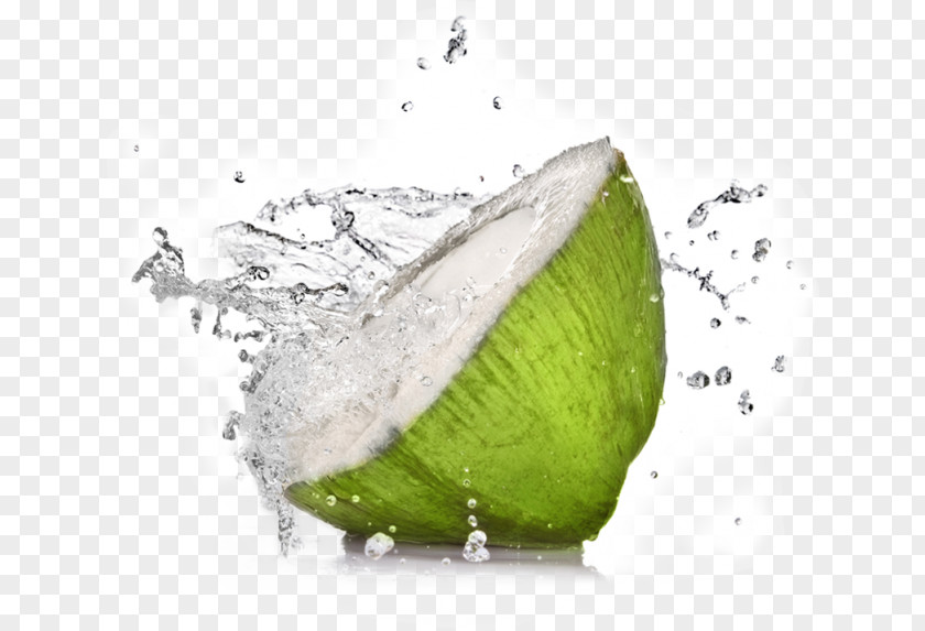 Coconut Water Sports & Energy Drinks Health PNG
