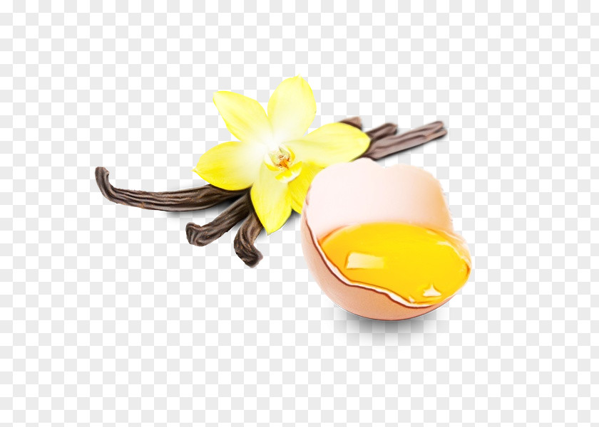 Narcissus Fashion Accessory Yellow Flower Plant Vanilla Petal PNG