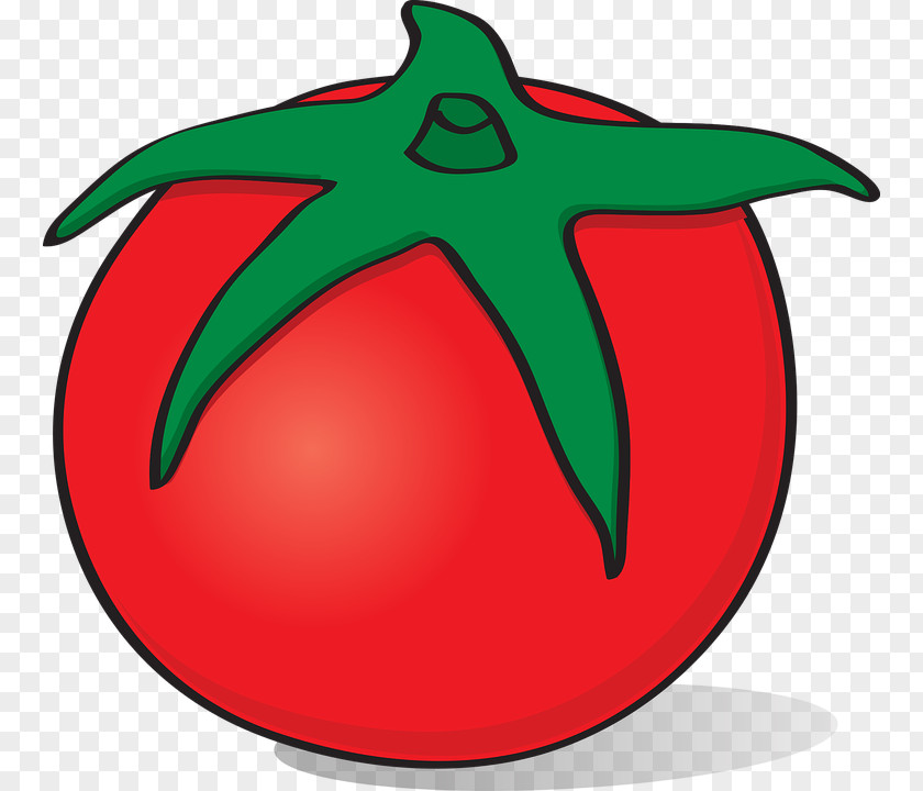 Tomato Fruit Vegetable Drawing Clip Art PNG